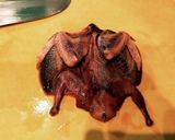 キジバトの大鶏俳(ダージーパイ)作り方1写真