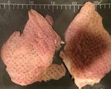 大鶏排　ダージーパイ　台湾唐揚げ作り方2写真