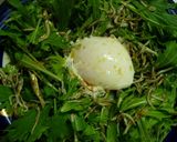ヘルシー！水菜とじゃこの温玉サラダ！作り方4写真