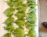 青じそときゅうりの旨味巻き中華漬け作り方4写真