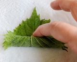 青じそときゅうりの旨味巻き中華漬け作り方8写真