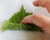 青じそときゅうりの旨味巻き中華漬け作り方8写真