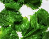 大葉の塩漬け作り方1写真