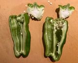 Bell Pepper Sauté作り方2写真