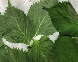 大葉の消費に長芋揚げ作り方2写真