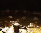 大正だいこんと豚の角煮作り方4写真