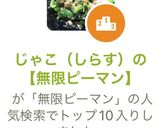 じゃこ（しらす）の【無限ピーマン】作り方4写真