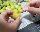 梅干し【6月中旬～7月上旬 下ごしらえ】作り方2写真