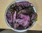 梅干し 【5日目 しそ漬け込み】作り方2写真