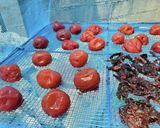 梅干し 【7月下旬~8月 土用干し】作り方4写真