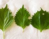 熱中症予防に♡梅青じそ茶作り方1写真