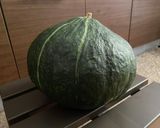 ♬カボチャのきんぴら作り方2写真