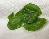 フレッシュバジルの新鮮ジェノベーゼソース作り方7写真