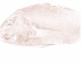 絶品！　鯛めし　作り方1写真