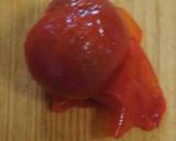 ミニトマトの浅漬け作り方3写真