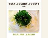 取り出し簡単！大葉の保存作り方8写真