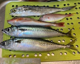 イトヨリダイ素揚げ、油淋ソース作り方1写真