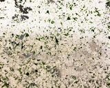 鶏肉の磯辺チーズ作り方2写真