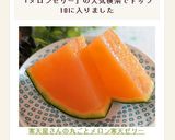 寒天屋さんの丸ごとメロン寒天ゼリー作り方5写真