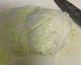 簡単♪あっさり、キャベツとツナの煮物作り方1写真