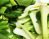 鶏もも肉と青梗菜のオイスターソース炒め作り方2写真