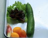 生ところてんで切って並べるつめたい麺風作り方2写真