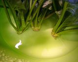 栄養を逃がすな！ほうれん草のゆで方✿作り方6写真