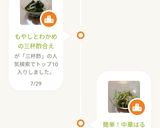 簡単！中華はるさめサラダ作り方8写真