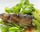 シャトルシェフでふんわり鮎のコンフィ♪作り方7写真