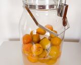 完熟梅シロップ作り方9写真