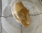 絶品☆蒸し鶏の葱油ソースがけ作り方4写真