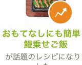 おもてなしにも簡単！鰻乗せご飯作り方17写真