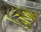 サビキで釣ったイワシのオイルサーディン作り方16写真