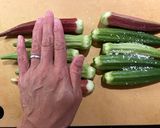 Okra Goma Ae作り方6写真