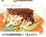 自家製タレで簡単！棒棒鶏(バンバンジー)作り方14写真