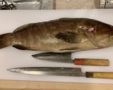 頭料理-大型魚の内臓で作る郷土メシ-作り方1写真