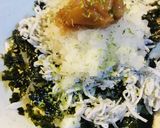 さっぱり風味●海苔＆シラスおろし丼作り方3写真