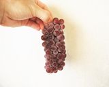 ぶどうの皮チップス作り方1写真