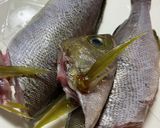 夏が旬！いさきのお造り作り方1写真