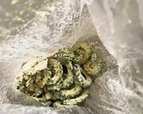 絶対につまみ食いしちゃう！ゴーヤチップス作り方3写真