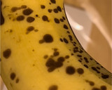 シロクマくん風アイスの作り方作り方1写真