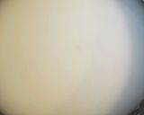 夏の涼菓 片栗粉でキウイの水わらび餅風作り方4写真