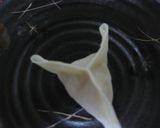 餃子の皮で☆ヘルシーおからのサモサ作り方5写真