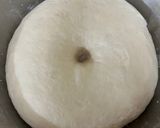 手ごね ロールパン(春よ恋)作り方5写真