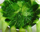 鶏ひき肉のチンゲンサイ包み作り方2写真