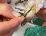 【簡単材料】イカの塩辛【写真付説明】作り方8写真