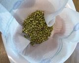 ドイツで育てる！まっすぐ太いもやし作り方4写真