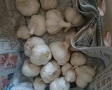 保存用ニンニクペースト作り方1写真