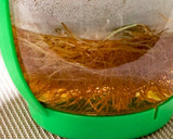 【食品乾燥機で乾燥】とうもろこしのひげ茶作り方9写真