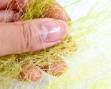 【食品乾燥機で乾燥】とうもろこしのひげ茶作り方4写真